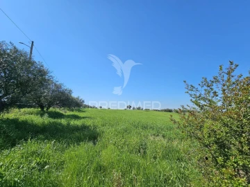Terreno para Venda em Entradas