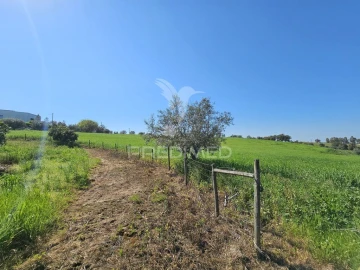 Terreno para Venda em Entradas