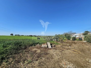 Terreno para Venda em Entradas