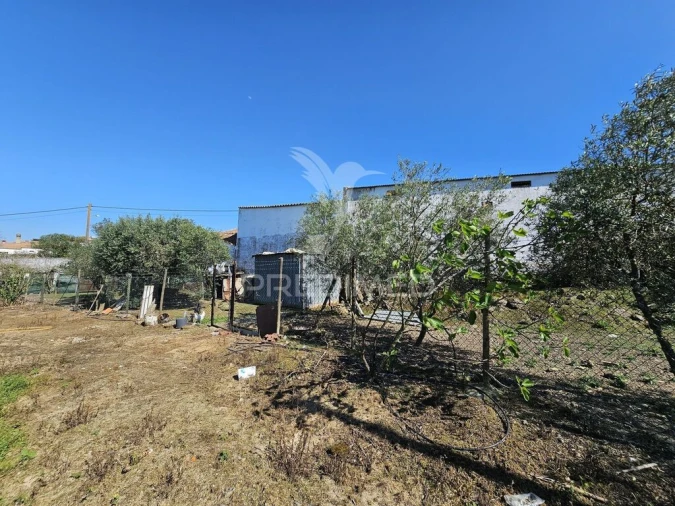 Terreno para Venda em Entradas Foto 17