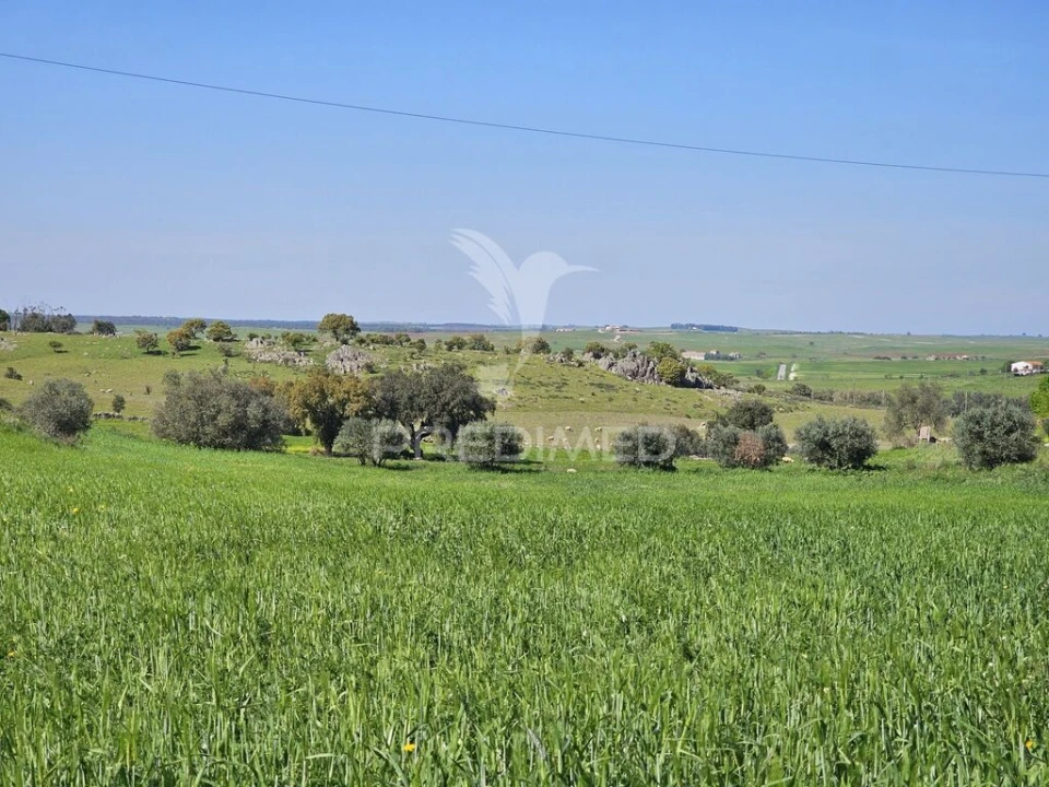 Terreno para Venda em Entradas Foto 1
