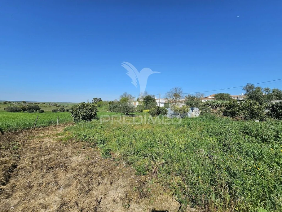 Terreno para Venda em Entradas Foto 16
