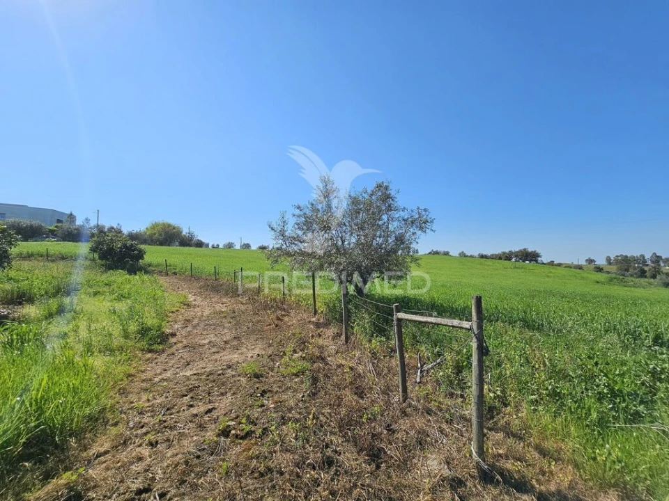 Terreno para Venda em Entradas Foto 12