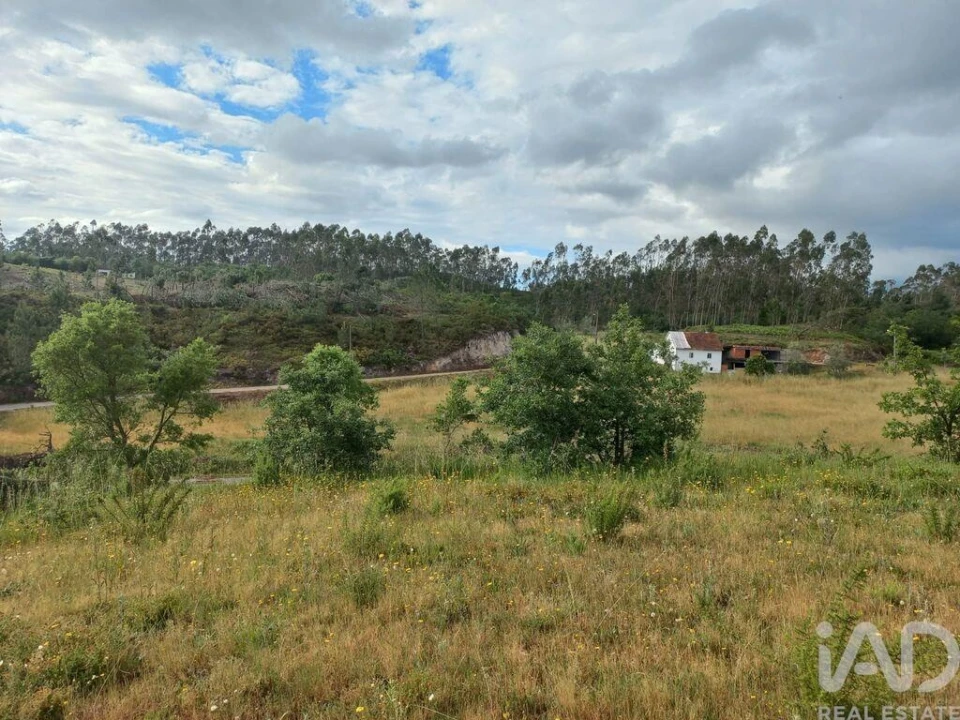 Terreno para Venda em Espite Foto 13