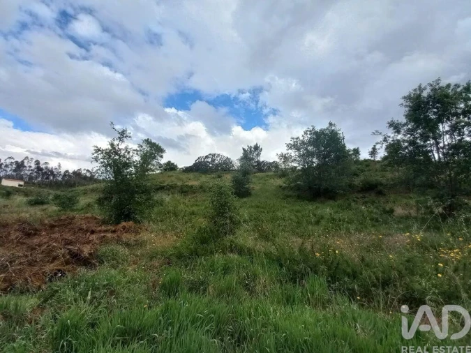 Terreno para Venda em Espite Foto 8