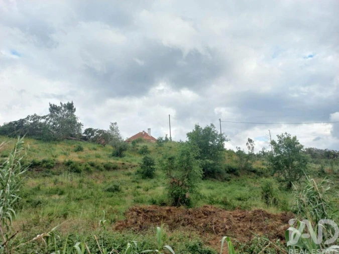 Terreno para Venda em Espite Foto 7