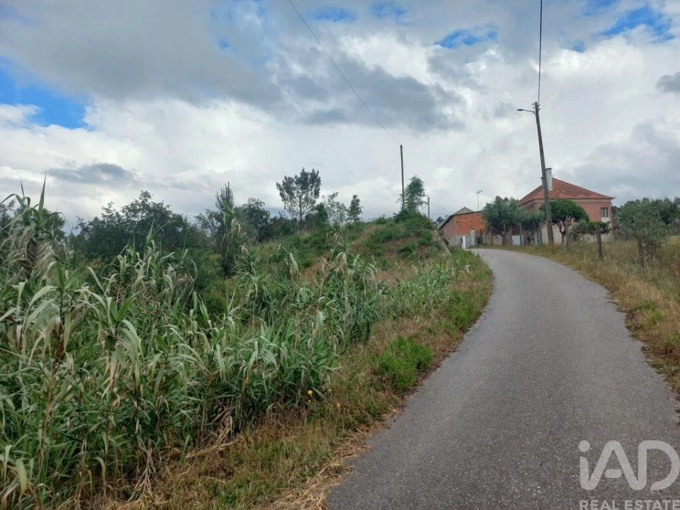 Terreno para Venda em Espite Foto 5