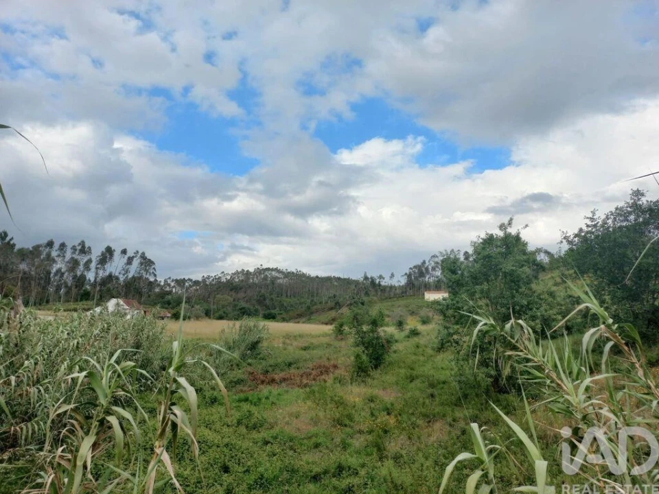 Terreno para Venda em Espite Foto 6