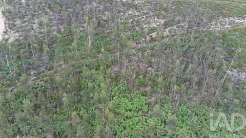 Terreno para Venda em Espite