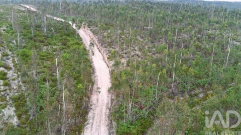 Terreno para Venda em Espite