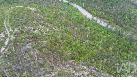 Terreno para Venda em Espite