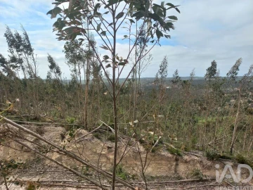 Terreno para Venda em Espite