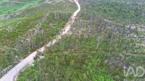 Terreno para Venda em Espite