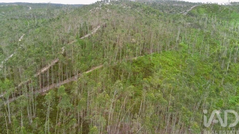 Terreno para Venda em Espite