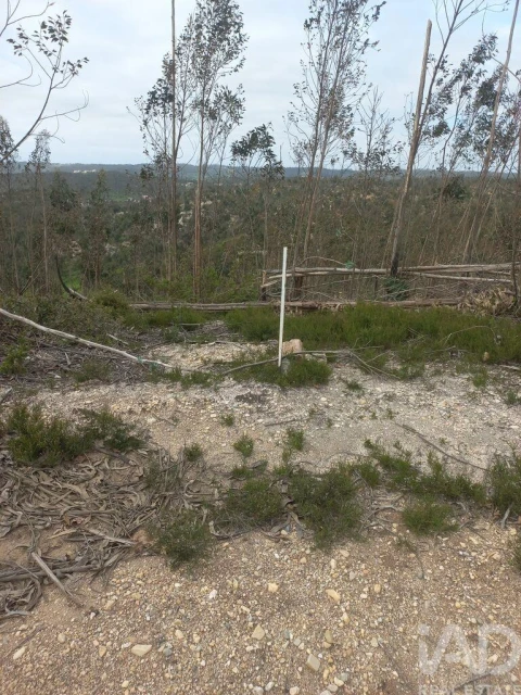 Terreno para Venda em Espite