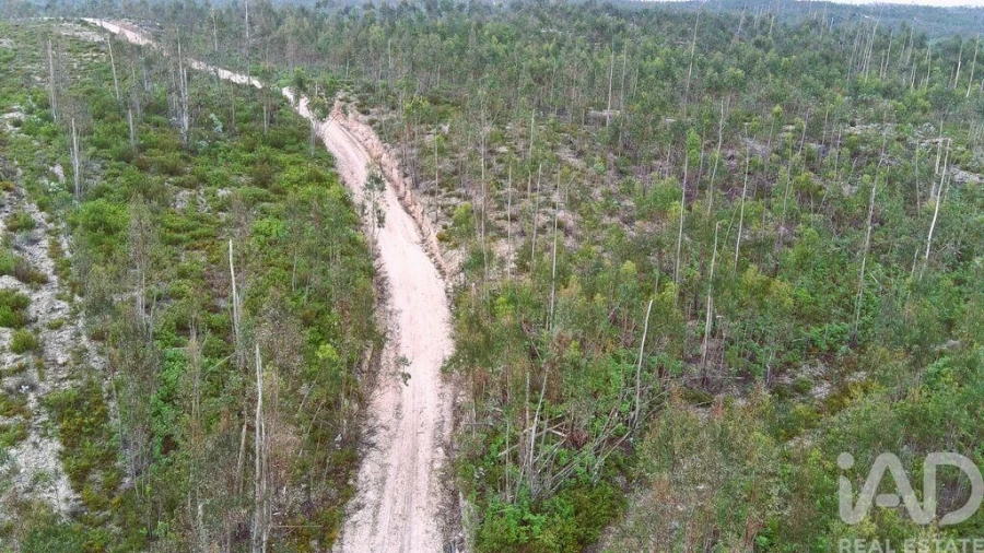 Terreno para Venda em Espite Foto 4