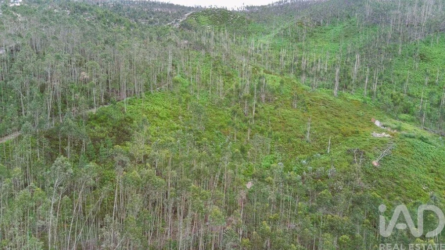 Terreno para Venda em Espite Foto 9