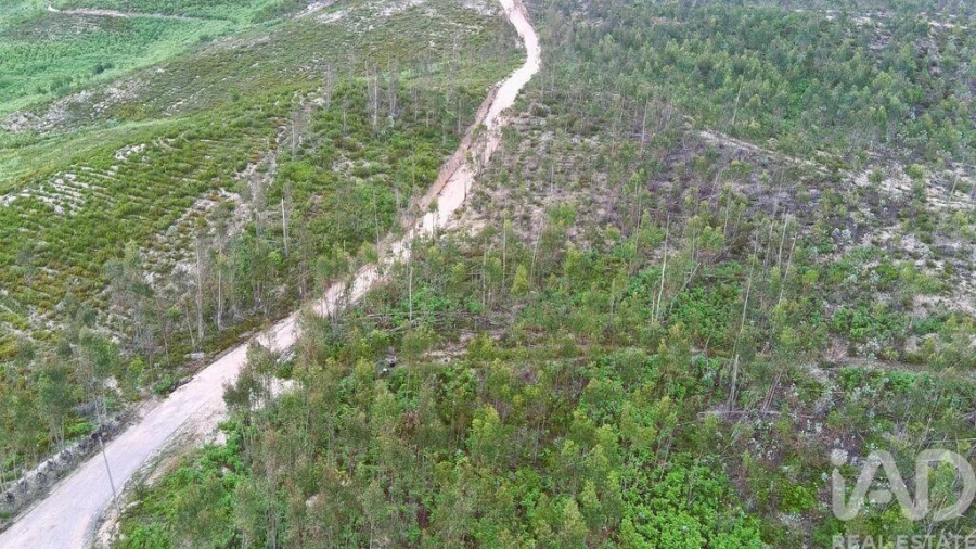 Terreno para Venda em Espite Foto 8
