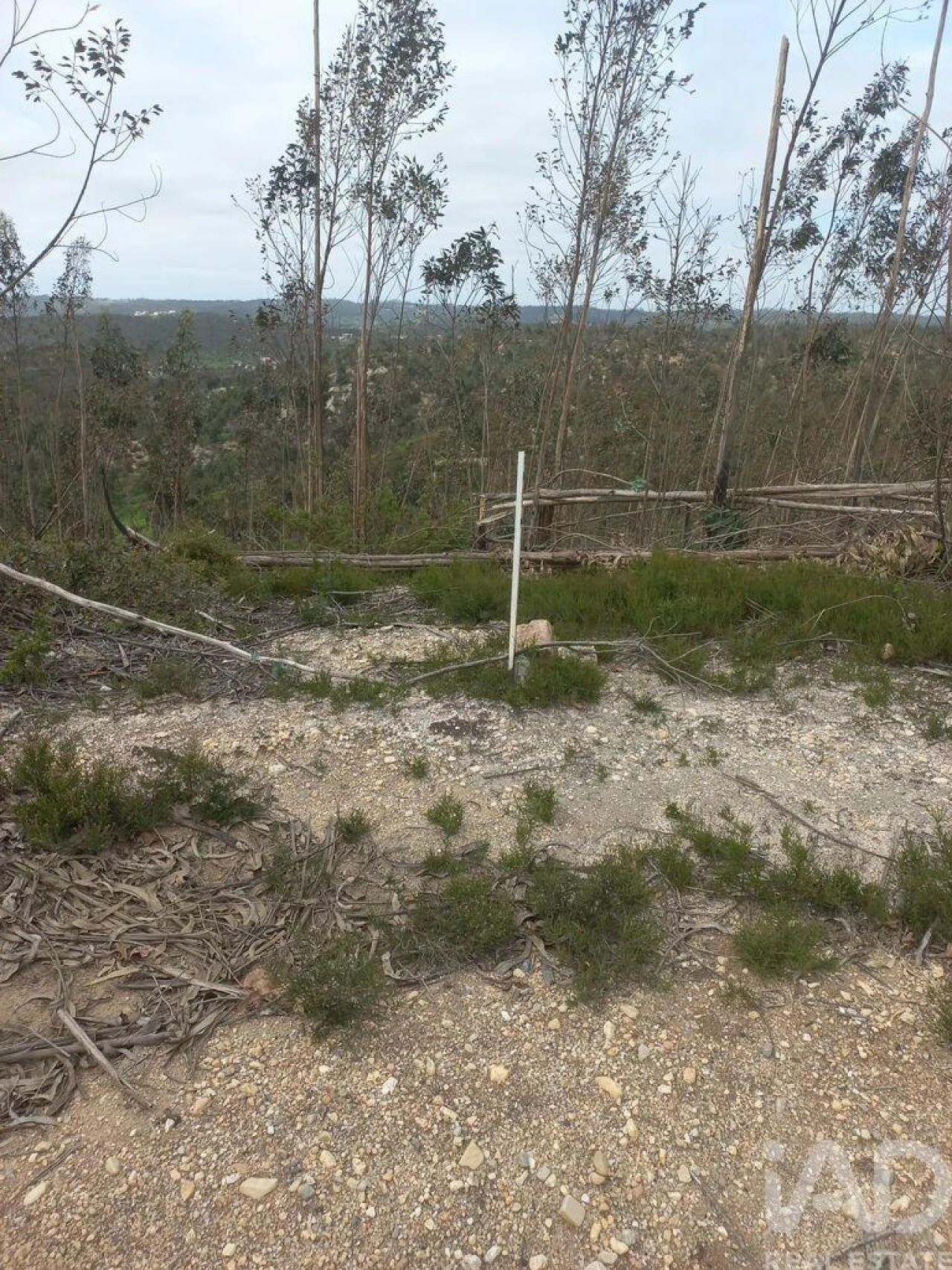 Terreno para Venda em Espite Foto 7
