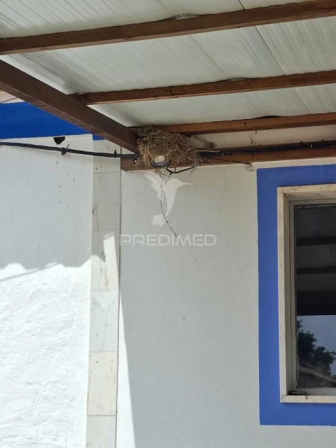 Quinta T3 para Venda em Pardais