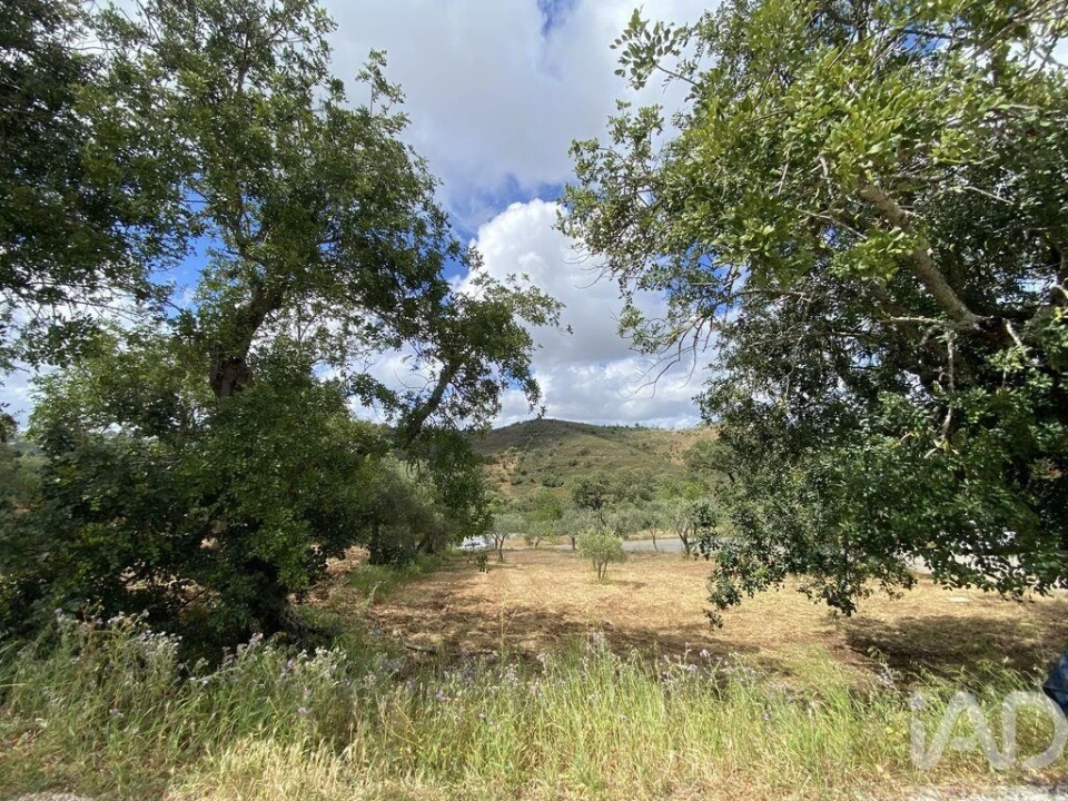 Moradia para Venda em Santa Catarina da Fonte do Bispo Foto 26