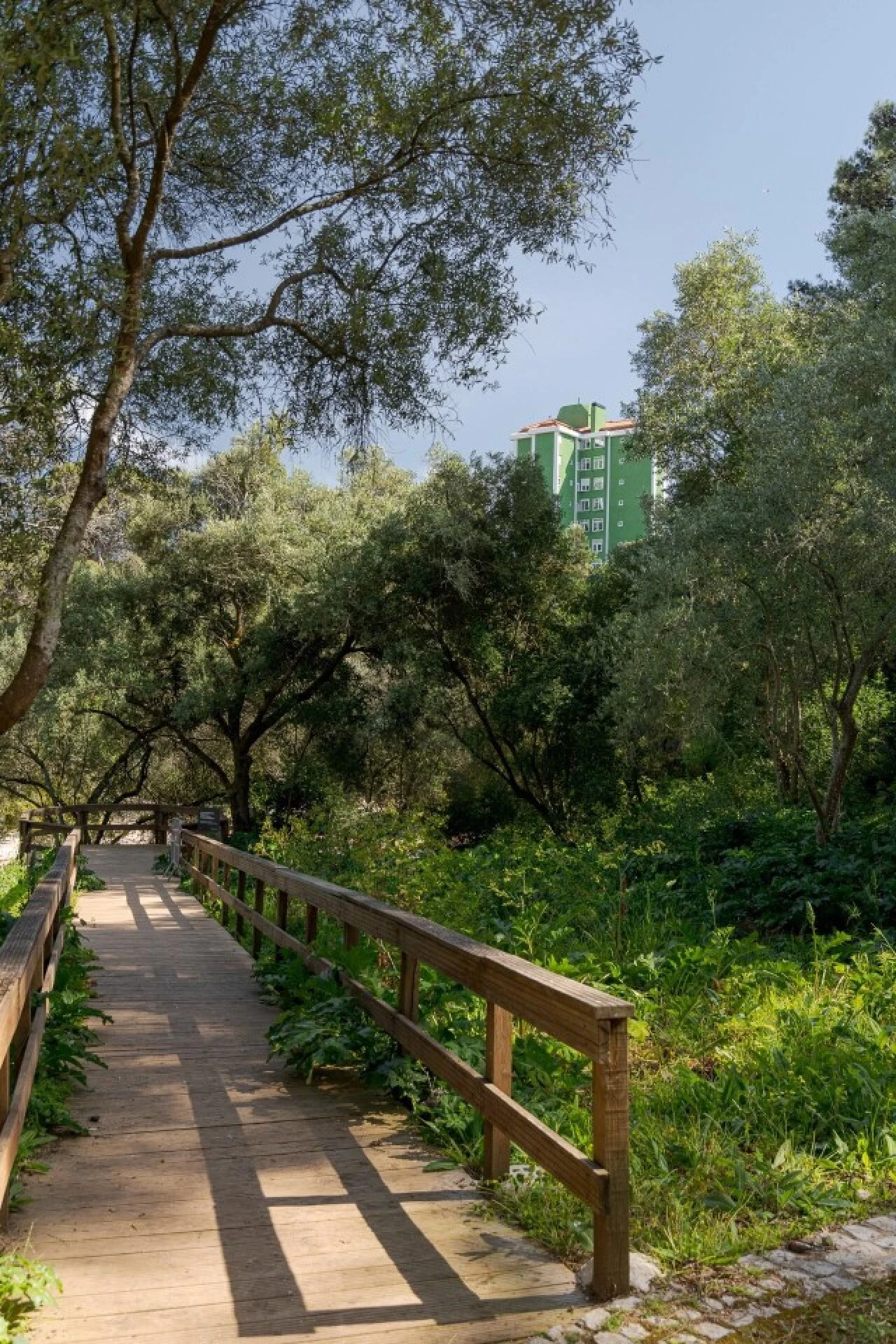 Apartamento T2 para Venda em Cascais e Estoril Foto 16