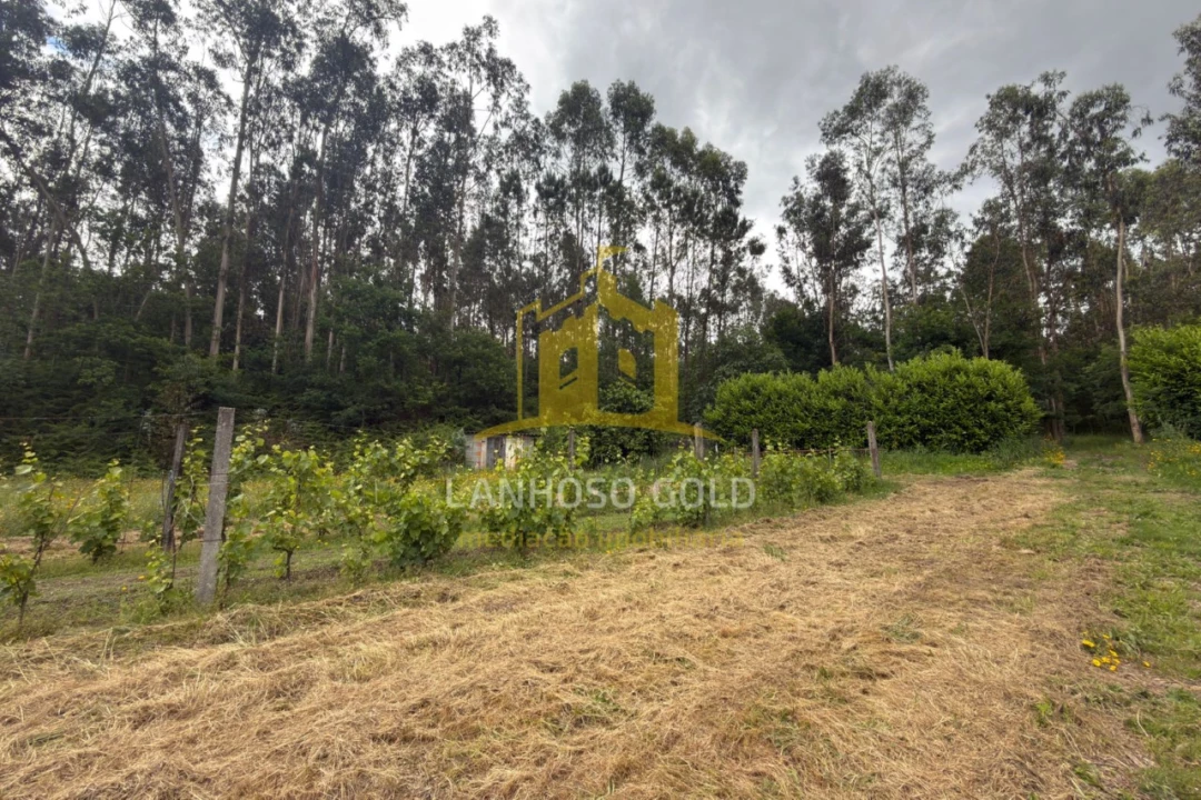 Terreno para Venda em Taide Foto 1