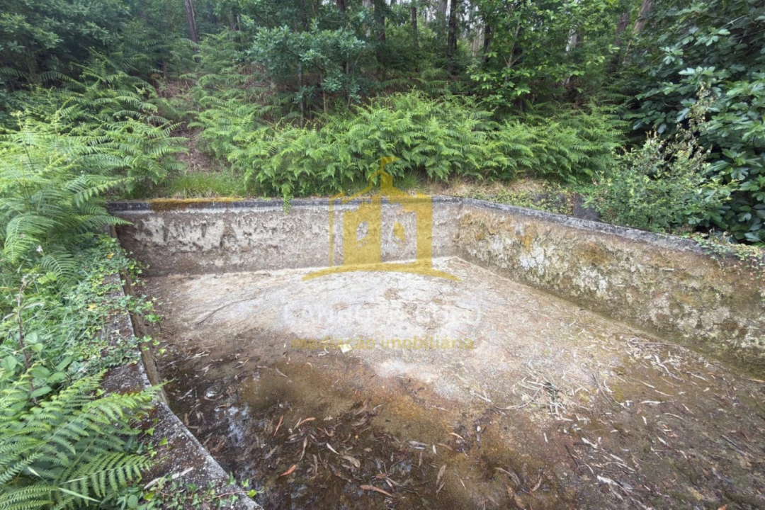 Terreno para Venda em Taide Foto 3
