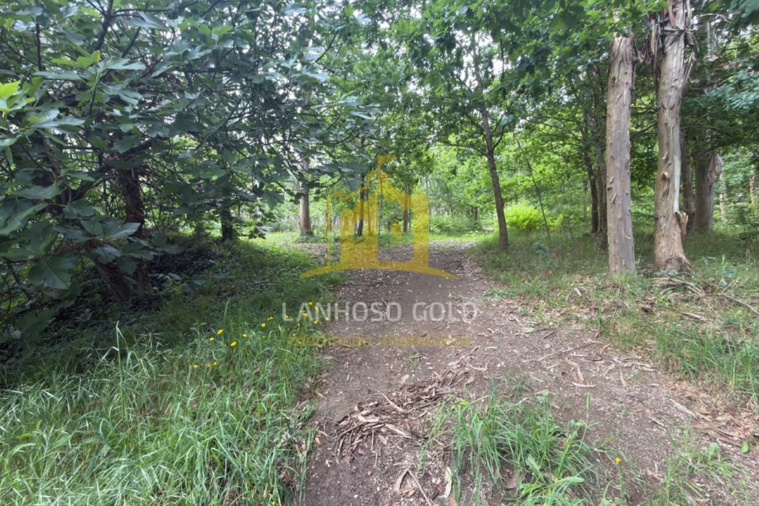 Terreno para Venda em Taide Foto 6