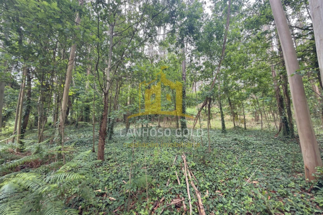 Terreno para Venda em Taide Foto 8