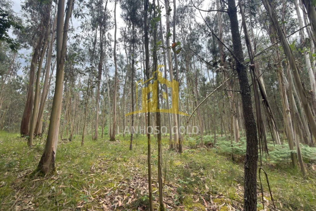 Terreno para Venda em Taide Foto 9