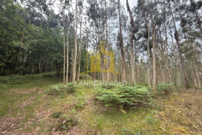 Terreno para Venda em Taide