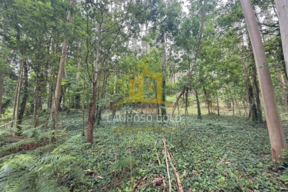 Terreno para Venda em Taide