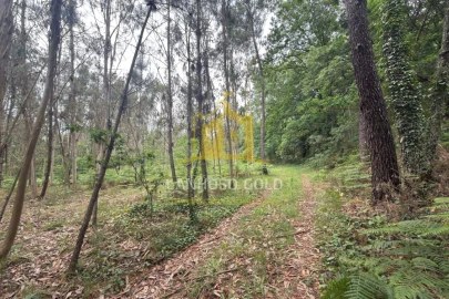Terreno para Venda em Taide