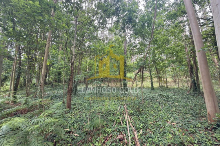 Terreno para Venda em Taide Foto 8