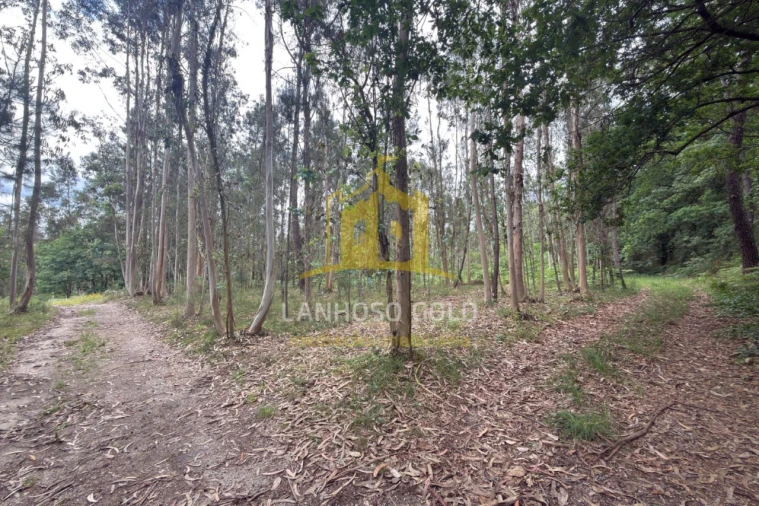 Terreno para Venda em Taide Foto 10