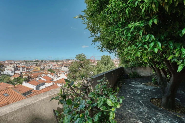 Apartamento T2 para Venda em São Vicente Foto 29