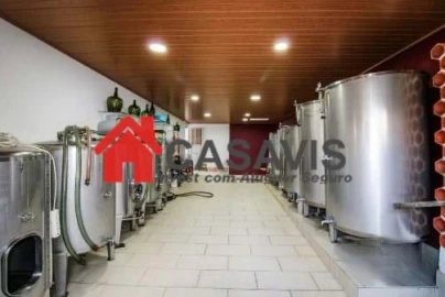 Moradia T3 para Venda em Parada de Gonta