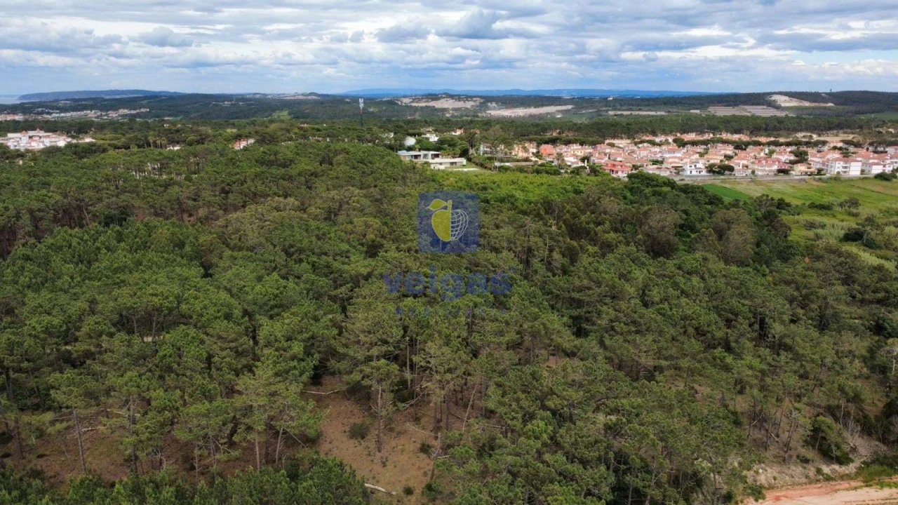 Terreno Agricola ou Rústico para Venda em Ferrel Foto 17