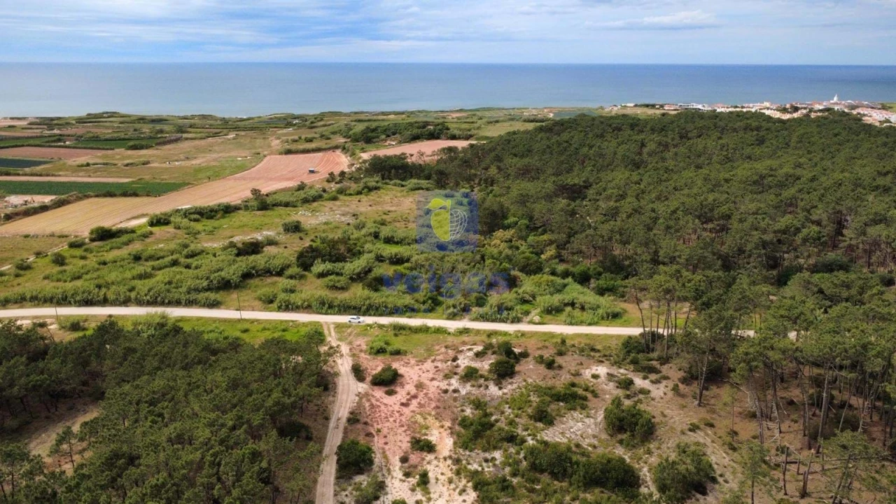 Terreno Agricola ou Rústico para Venda em Ferrel Foto 1