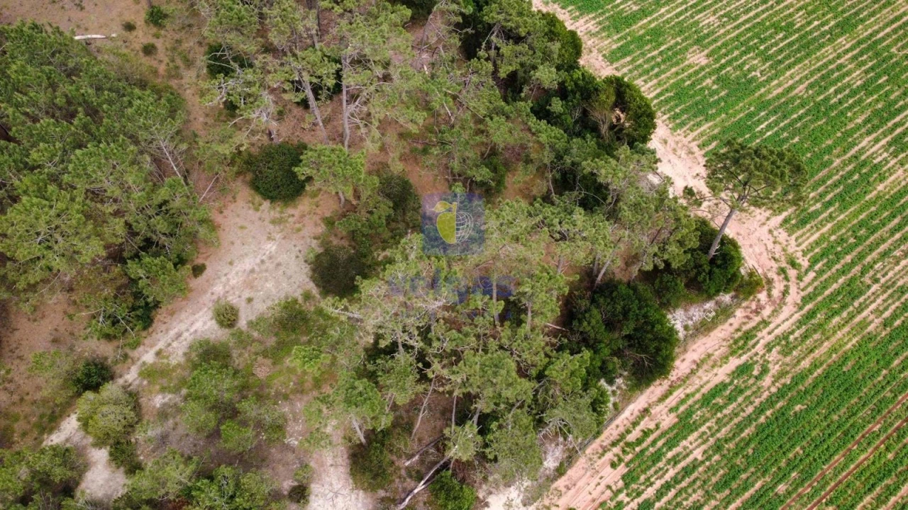 Terreno Agricola ou Rústico para Venda em Ferrel Foto 15