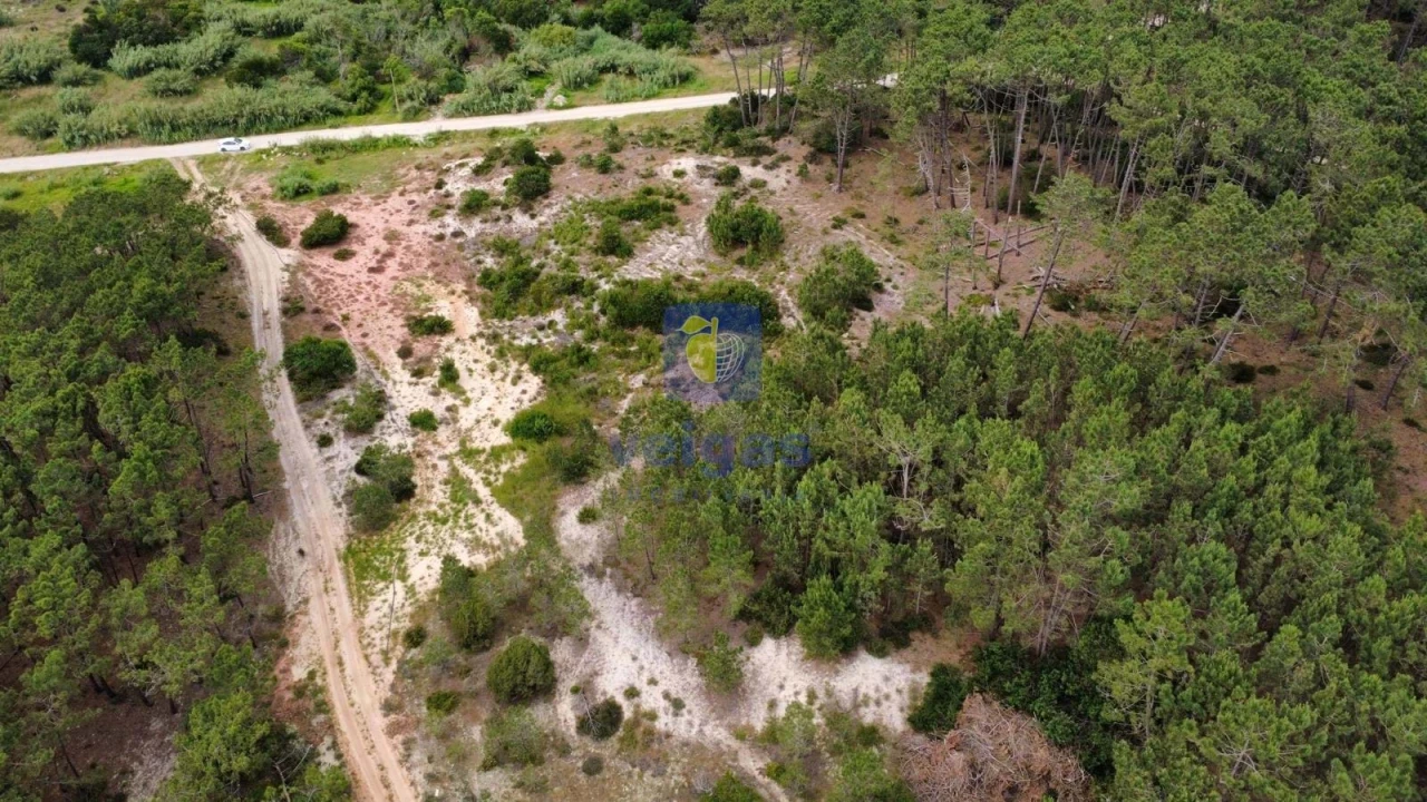 Terreno Agricola ou Rústico para Venda em Ferrel Foto 10