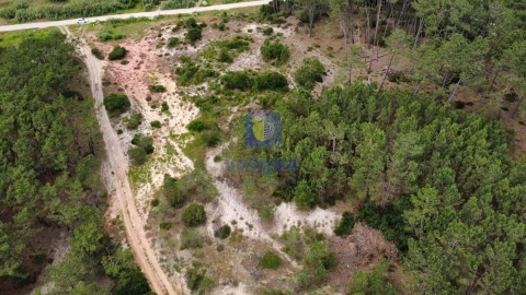Terreno Agricola ou Rústico para Venda em Ferrel