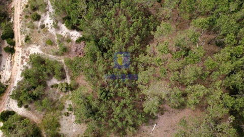 Terreno Agricola ou Rústico para Venda em Ferrel