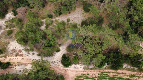 Terreno Agricola ou Rústico para Venda em Ferrel