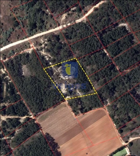 Terreno Agricola ou Rústico para Venda em Ferrel