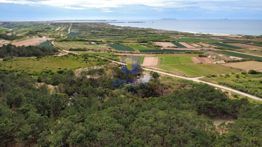 Terreno Agricola ou Rústico para Venda em Ferrel Foto 3