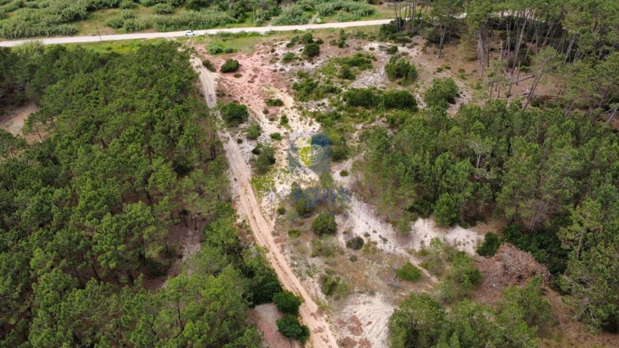 Terreno Agricola ou Rústico para Venda em Ferrel Foto 5