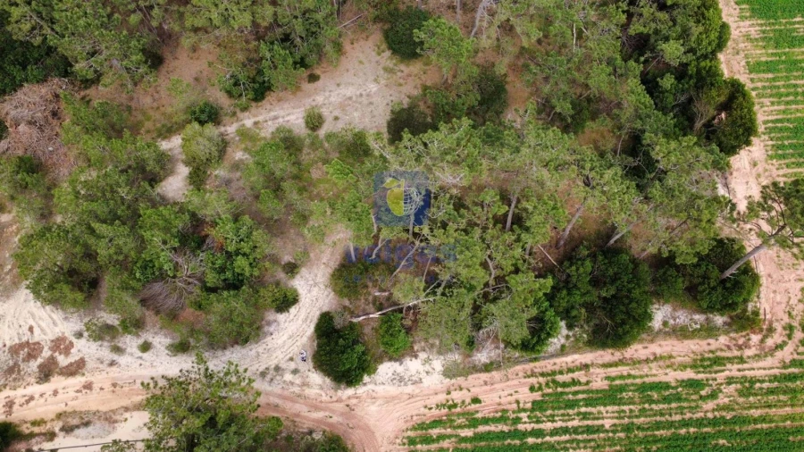 Terreno Agricola ou Rústico para Venda em Ferrel Foto 12