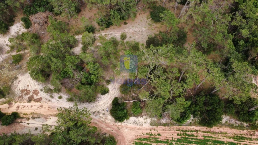 Terreno Agricola ou Rústico para Venda em Ferrel Foto 16